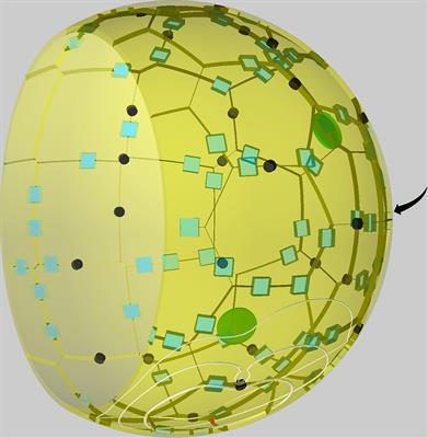 Hybrid Agent-Based Modeling of Aspergillus fumigatus Infection to Quantitatively Investigate the Role of Pores of Kohn in Human Alveoli